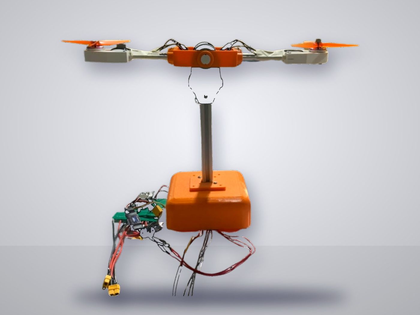 Birotor